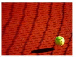 The Importance of Tennis Court Maintenance On Player Performance
